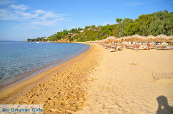 Aghia Paraskevi (Platanias beach) | Skiathos Sporaden Griekenland foto 11 - Foto van https://www.grieksegids.nl/fotos/skiathos/normaal/skiathos-grieksegids-077.jpg