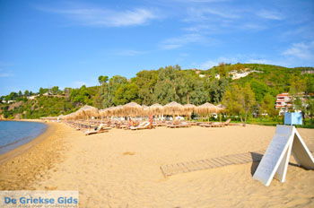 Aghia Paraskevi (Platanias beach) | Skiathos Sporaden Griekenland foto 12 - Foto van https://www.grieksegids.nl/fotos/skiathos/normaal/skiathos-grieksegids-078.jpg