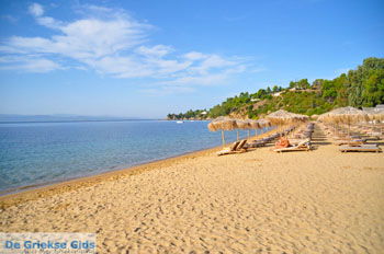 Aghia Paraskevi (Platanias beach) | Skiathos Sporaden Griekenland foto 13 - Foto van https://www.grieksegids.nl/fotos/skiathos/normaal/skiathos-grieksegids-079.jpg