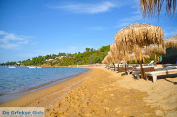 Aghia Paraskevi (Platanias beach) | Skiathos Sporaden Griekenland foto 15 - Foto van https://www.grieksegids.nl/fotos/skiathos/normaal/skiathos-grieksegids-081.jpg