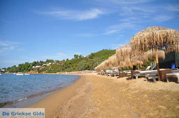 Aghia Paraskevi (Platanias beach) | Skiathos Sporaden Griekenland foto 16 - Foto van https://www.grieksegids.nl/fotos/skiathos/normaal/skiathos-grieksegids-082.jpg