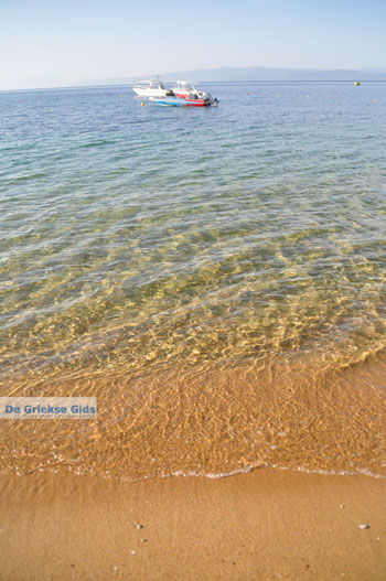Aghia Paraskevi (Platanias beach) | Skiathos Sporaden Griekenland foto 17 - Foto van https://www.grieksegids.nl/fotos/skiathos/normaal/skiathos-grieksegids-083.jpg