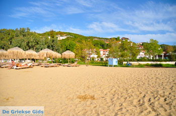 Aghia Paraskevi (Platanias beach) | Skiathos Sporaden Griekenland foto 19 - Foto van https://www.grieksegids.nl/fotos/skiathos/normaal/skiathos-grieksegids-085.jpg