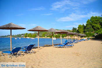 Aghia Paraskevi (Platanias beach) | Skiathos Sporaden Griekenland foto 23 - Foto van https://www.grieksegids.nl/fotos/skiathos/normaal/skiathos-grieksegids-089.jpg