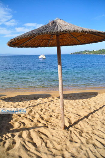 Aghia Paraskevi (Platanias beach) | Skiathos Sporaden Griekenland foto 24 - Foto van https://www.grieksegids.nl/fotos/skiathos/normaal/skiathos-grieksegids-090.jpg
