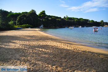 Aghia Paraskevi (Platanias beach) | Skiathos Sporaden Griekenland foto 25 - Foto van https://www.grieksegids.nl/fotos/skiathos/normaal/skiathos-grieksegids-091.jpg