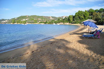 Aghia Paraskevi (Platanias beach) | Skiathos Sporaden Griekenland foto 27 - Foto van https://www.grieksegids.nl/fotos/skiathos/normaal/skiathos-grieksegids-093.jpg