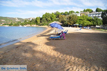 Aghia Paraskevi (Platanias beach) | Skiathos Sporaden Griekenland foto 28 - Foto van https://www.grieksegids.nl/fotos/skiathos/normaal/skiathos-grieksegids-094.jpg