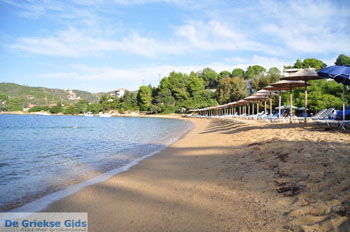 Aghia Paraskevi (Platanias beach) | Skiathos Sporaden Griekenland foto 29 - Foto van https://www.grieksegids.nl/fotos/skiathos/normaal/skiathos-grieksegids-095.jpg
