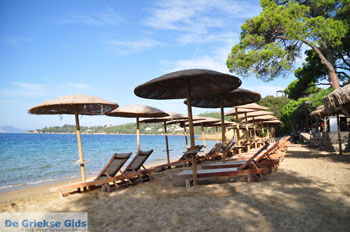 Vromolimnos | Skiathos Sporaden Griekenland foto 2 - Foto van https://www.grieksegids.nl/fotos/skiathos/normaal/skiathos-grieksegids-100.jpg