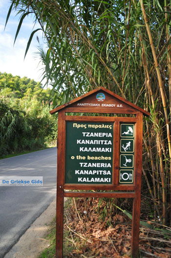 Tzaneria en Kanapitsa | Skiathos Sporaden Griekenland - Foto van https://www.grieksegids.nl/fotos/skiathos/normaal/skiathos-grieksegids-112.jpg