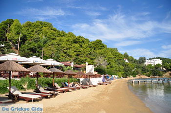 Kanapitsa | Skiathos Sporaden Griekenland foto 7 - Foto van https://www.grieksegids.nl/fotos/skiathos/normaal/skiathos-grieksegids-119.jpg