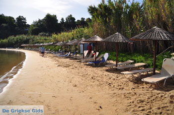 Kanapitsa | Skiathos Sporaden Griekenland foto 11 - Foto van https://www.grieksegids.nl/fotos/skiathos/normaal/skiathos-grieksegids-123.jpg