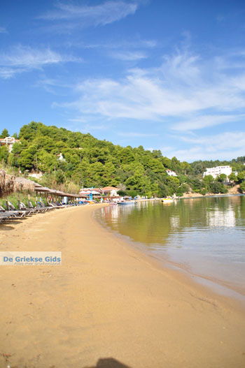 Kanapitsa | Skiathos Sporaden Griekenland foto 18 - Foto van https://www.grieksegids.nl/fotos/skiathos/normaal/skiathos-grieksegids-130.jpg