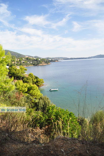 Kanapitsa | Skiathos Sporaden Griekenland foto 25 - Foto van https://www.grieksegids.nl/fotos/skiathos/normaal/skiathos-grieksegids-137.jpg