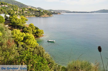 Kanapitsa | Skiathos Sporaden Griekenland foto 27 - Foto van https://www.grieksegids.nl/fotos/skiathos/normaal/skiathos-grieksegids-139.jpg
