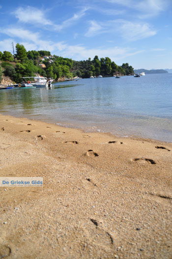 Tzaneria | Skiathos Sporaden Griekenland foto 5 - Foto van https://www.grieksegids.nl/fotos/skiathos/normaal/skiathos-grieksegids-144.jpg