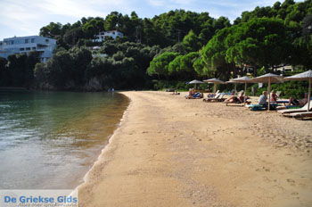 Tzaneria | Skiathos Sporaden Griekenland foto 8 - Foto van https://www.grieksegids.nl/fotos/skiathos/normaal/skiathos-grieksegids-147.jpg