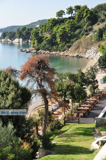 Vassilias | Skiathos Sporaden Griekenland foto 4 - Foto van https://www.grieksegids.nl/fotos/skiathos/normaal/skiathos-grieksegids-160.jpg