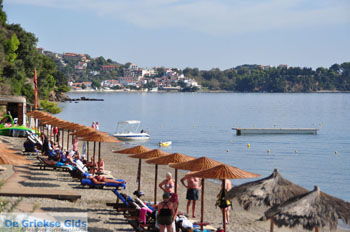 Vassilias | Skiathos Sporaden Griekenland foto 7 - Foto van https://www.grieksegids.nl/fotos/skiathos/normaal/skiathos-grieksegids-163.jpg