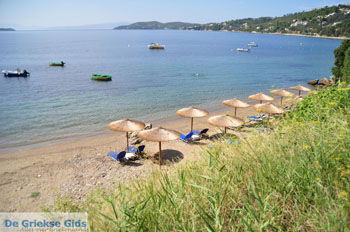 Megali Ammos (Ftelia) | Skiathos Sporaden Griekenland foto 2 - Foto van https://www.grieksegids.nl/fotos/skiathos/normaal/skiathos-grieksegids-169.jpg