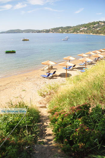 Megali Ammos (Ftelia) | Skiathos Sporaden Griekenland foto 4 - Foto van https://www.grieksegids.nl/fotos/skiathos/normaal/skiathos-grieksegids-171.jpg