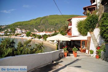 Megali Ammos (Ftelia) | Skiathos Sporaden Griekenland foto 5 - Foto van https://www.grieksegids.nl/fotos/skiathos/normaal/skiathos-grieksegids-172.jpg