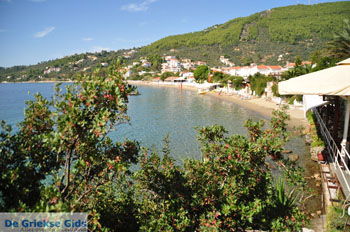 Megali Ammos (Ftelia) | Skiathos Sporaden Griekenland foto 8 - Foto van https://www.grieksegids.nl/fotos/skiathos/normaal/skiathos-grieksegids-175.jpg