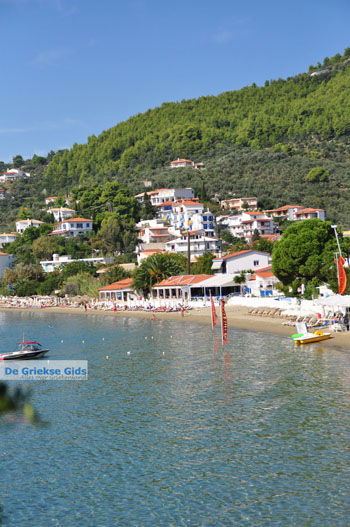Megali Ammos (Ftelia) | Skiathos Sporaden Griekenland foto 11 - Foto van https://www.grieksegids.nl/fotos/skiathos/normaal/skiathos-grieksegids-178.jpg