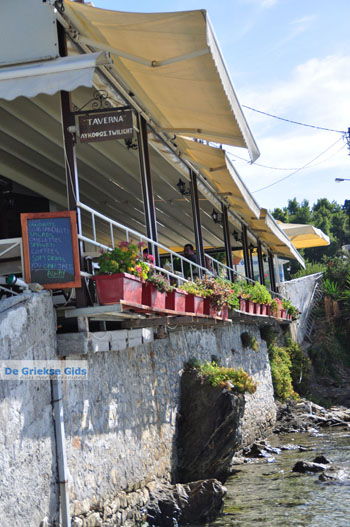 Megali Ammos (Ftelia) | Skiathos Sporaden Griekenland foto 19 - Foto van https://www.grieksegids.nl/fotos/skiathos/normaal/skiathos-grieksegids-186.jpg