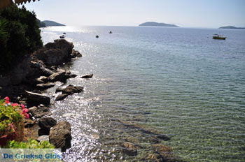 Megali Ammos (Ftelia) | Skiathos Sporaden Griekenland foto 20 - Foto van https://www.grieksegids.nl/fotos/skiathos/normaal/skiathos-grieksegids-187.jpg