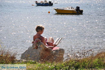 Skiathos stad | Skiathos Sporaden Griekenland foto 9 - Foto van https://www.grieksegids.nl/fotos/skiathos/normaal/skiathos-grieksegids-195.jpg