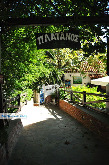 Restaurant Platanos bij Profitis Ilias | Skiathos Sporaden Griekenland foto 2 - Foto van https://www.grieksegids.nl/fotos/skiathos/normaal/skiathos-grieksegids-292.jpg