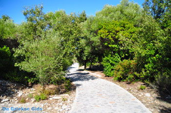 Kastro | Skiathos Sporaden Griekenland foto 3 - Foto van https://www.grieksegids.nl/fotos/skiathos/normaal/skiathos-grieksegids-296.jpg