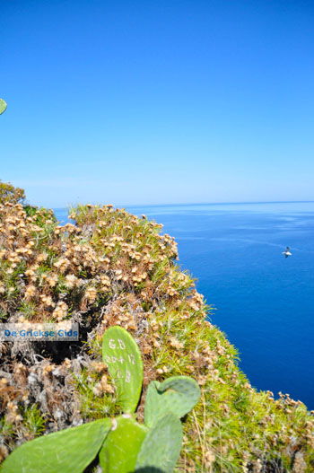 Kastro | Skiathos Sporaden Griekenland foto 48 - Foto van https://www.grieksegids.nl/fotos/skiathos/normaal/skiathos-grieksegids-341.jpg