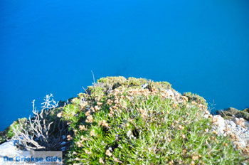 Kastro | Skiathos Sporaden Griekenland foto 55 - Foto van https://www.grieksegids.nl/fotos/skiathos/normaal/skiathos-grieksegids-348.jpg