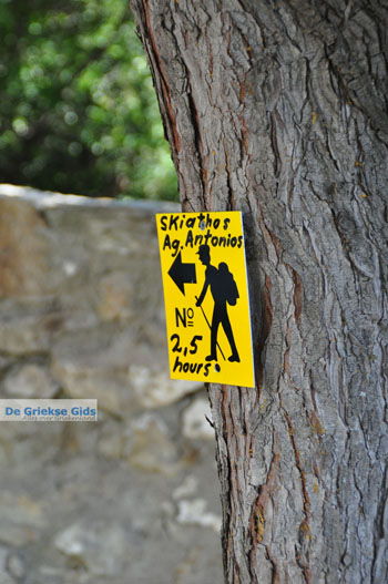 Klooster Kechria | Skiathos Sporaden Griekenland foto 13 - Foto van https://www.grieksegids.nl/fotos/skiathos/normaal/skiathos-grieksegids-379.jpg