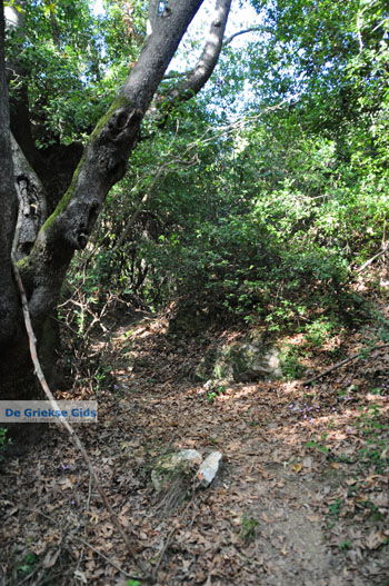 Wandelpaden bij Klooster Kechria | Skiathos Sporaden Griekenland foto 1 - Foto van https://www.grieksegids.nl/fotos/skiathos/normaal/skiathos-grieksegids-381.jpg