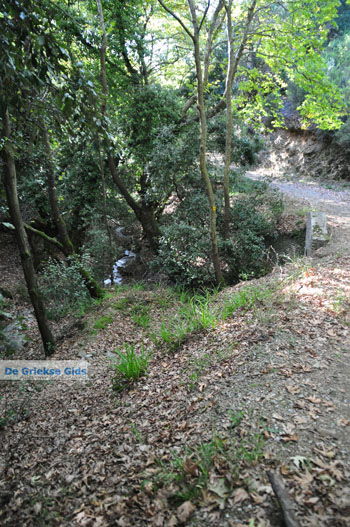 Wandelpaden bij Klooster Kechria | Skiathos Sporaden Griekenland foto 2 - Foto van https://www.grieksegids.nl/fotos/skiathos/normaal/skiathos-grieksegids-382.jpg