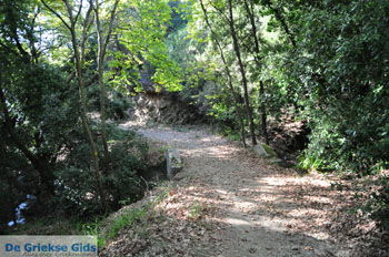 Wandelpaden bij Klooster Kechria | Skiathos Sporaden Griekenland foto 3 - Foto van https://www.grieksegids.nl/fotos/skiathos/normaal/skiathos-grieksegids-383.jpg