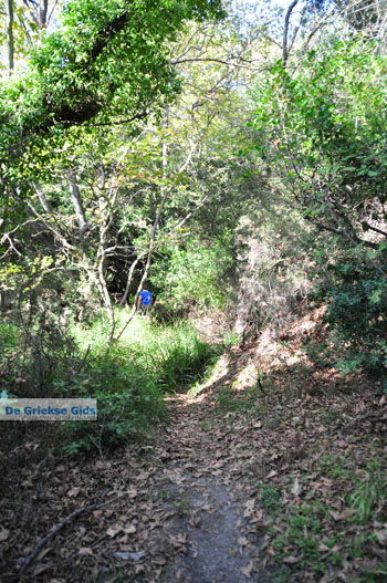 Wandelpaden bij Klooster Kechria | Skiathos Sporaden Griekenland foto 5 - Foto van https://www.grieksegids.nl/fotos/skiathos/normaal/skiathos-grieksegids-385.jpg