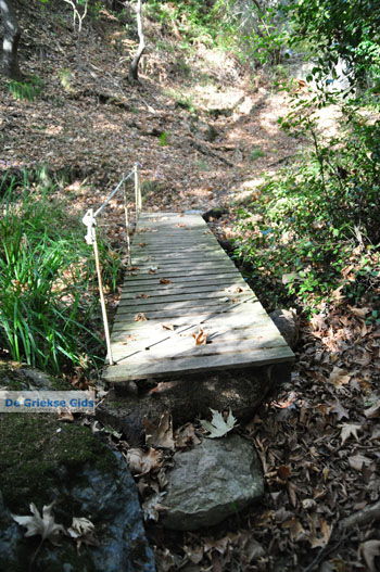 Wandelpaden bij Klooster Kechria | Skiathos Sporaden Griekenland foto 10 - Foto van https://www.grieksegids.nl/fotos/skiathos/normaal/skiathos-grieksegids-390.jpg