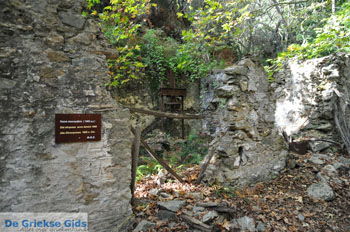 Wandelpaden bij Klooster Kechria | Skiathos Sporaden Griekenland foto 12 - Foto van https://www.grieksegids.nl/fotos/skiathos/normaal/skiathos-grieksegids-392.jpg