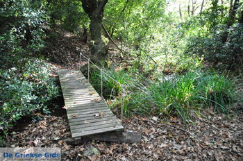 Wandelpaden bij Klooster Kechria | Skiathos Sporaden Griekenland foto 17 - Foto van https://www.grieksegids.nl/fotos/skiathos/normaal/skiathos-grieksegids-397.jpg