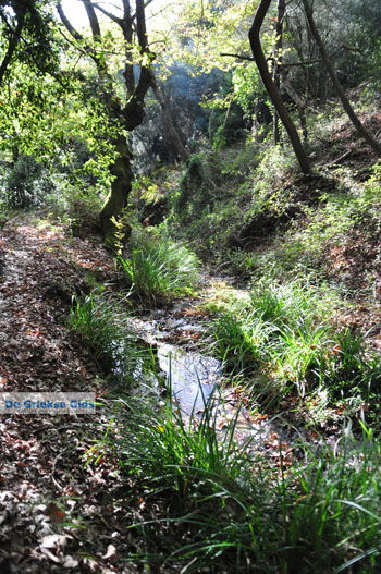 Wandelpaden bij Klooster Kechria | Skiathos Sporaden Griekenland foto 18 - Foto van https://www.grieksegids.nl/fotos/skiathos/normaal/skiathos-grieksegids-398.jpg