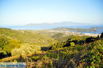 Panoramafoto Skiathos stad | Skiathos Sporaden Griekenland foto 1 - Foto van https://www.grieksegids.nl/fotos/skiathos/normaal/skiathos-grieksegids-401.jpg