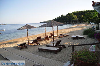 Achladies | Skiathos Sporaden Griekenland foto 14 - Foto van https://www.grieksegids.nl/fotos/skiathos/normaal/skiathos-grieksegids-417.jpg