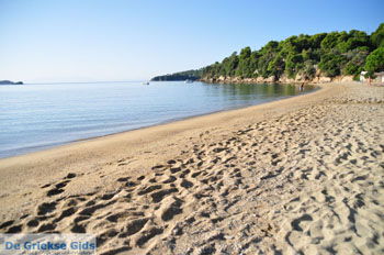 Achladies | Skiathos Sporaden Griekenland foto 17 - Foto van https://www.grieksegids.nl/fotos/skiathos/normaal/skiathos-grieksegids-420.jpg
