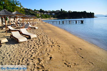 Achladies | Skiathos Sporaden Griekenland foto 18 - Foto van https://www.grieksegids.nl/fotos/skiathos/normaal/skiathos-grieksegids-421.jpg