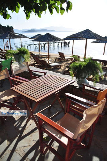 Maniatis Garden Achladies | Skiathos Sporaden Griekenland foto 1 - Foto van https://www.grieksegids.nl/fotos/skiathos/normaal/skiathos-grieksegids-422.jpg